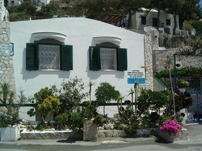 Blu Marine Casa A 10Mt Dalla Spiaggia Peschici Exterior foto